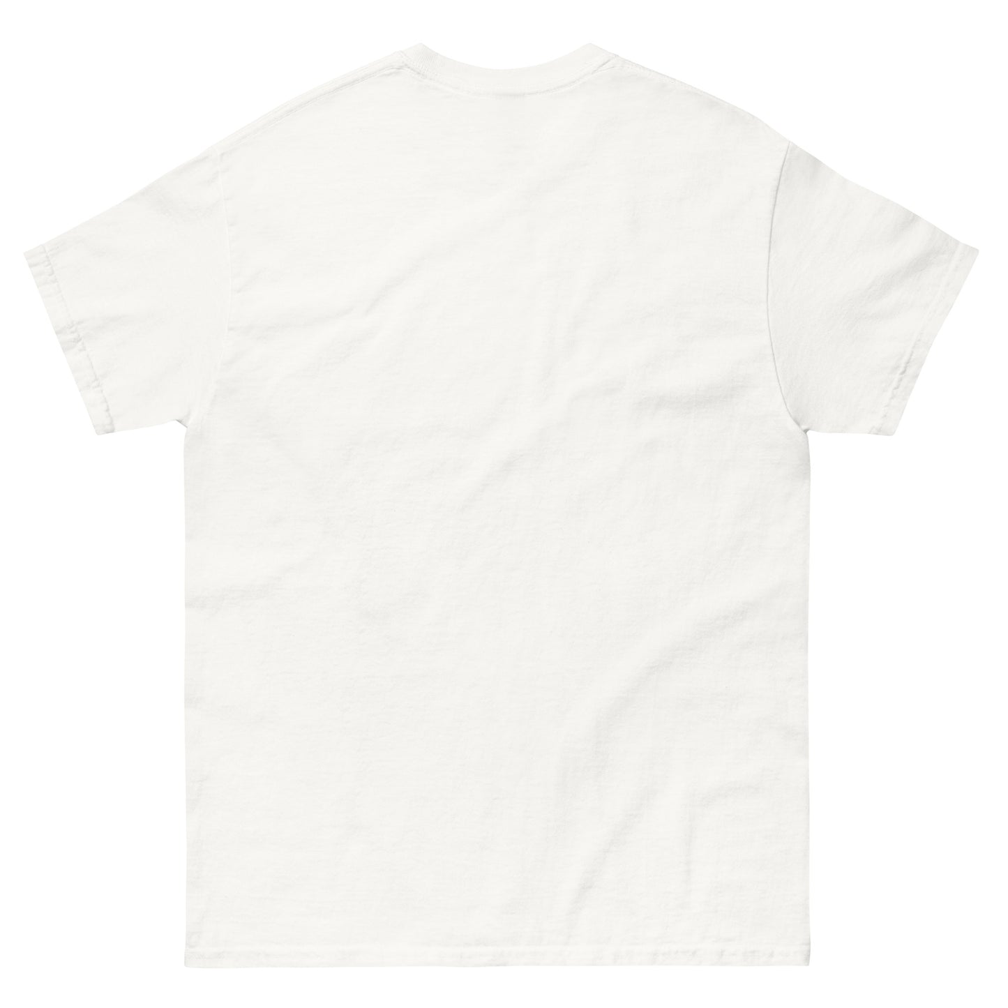 SALTY Unisex classic tee